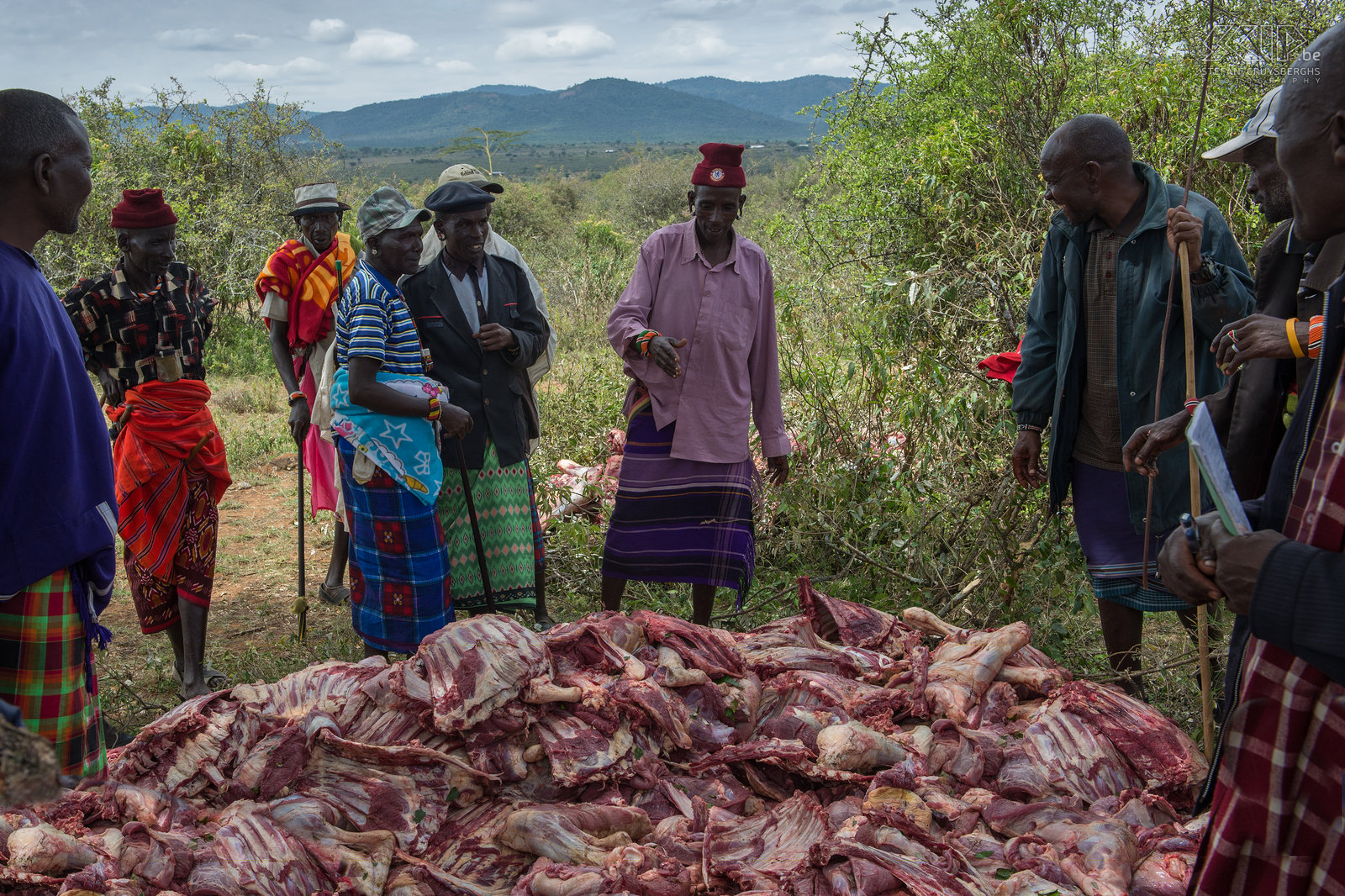 Kisima - Samburu lmuget - Mzee met verzameling vlees Al het vlees wordt verzameld door de mzee (oudere mannen) en ze verdelen dit tussen zichzelf, de morans (krijgers) en de vrouwen en kinderen. Stefan Cruysberghs